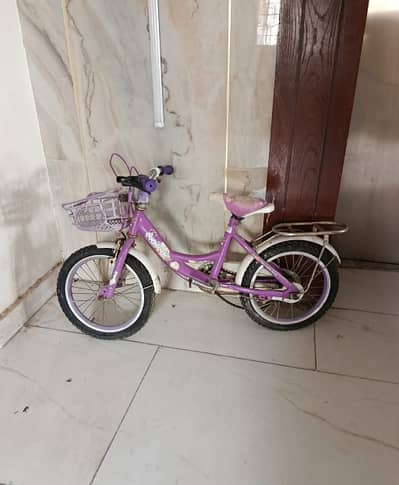 Kids Bicycle - Girls Purple with Basket, ~16 inch (age 4-8)