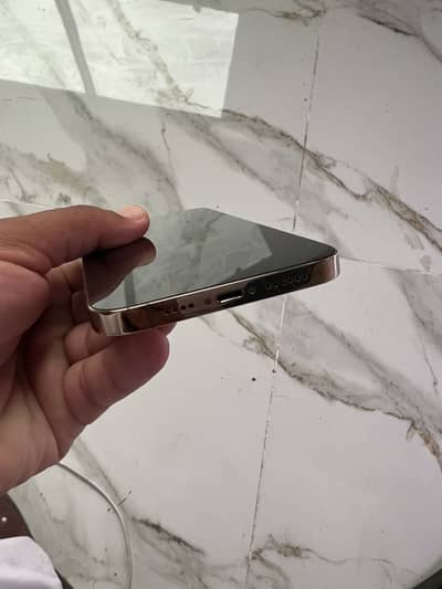 Apple iPhone 13 Pro Max jv 100 Health
