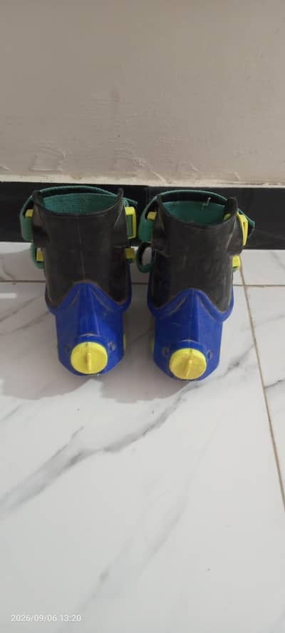Skates Shoes for Kids