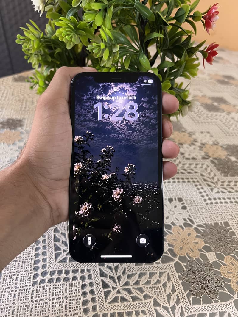 Apple iPhone 12 0