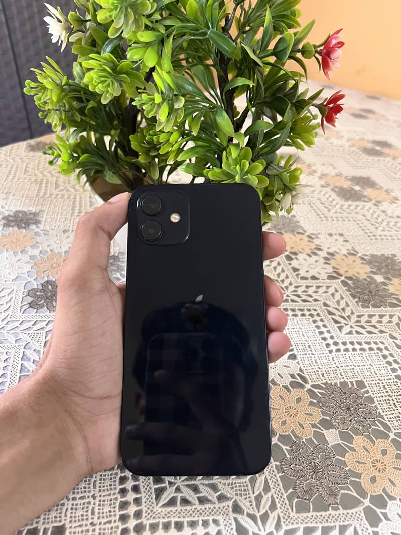 Apple iPhone 12 1