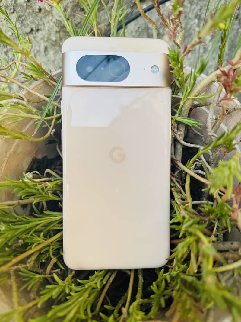 Google Pixel 8 2