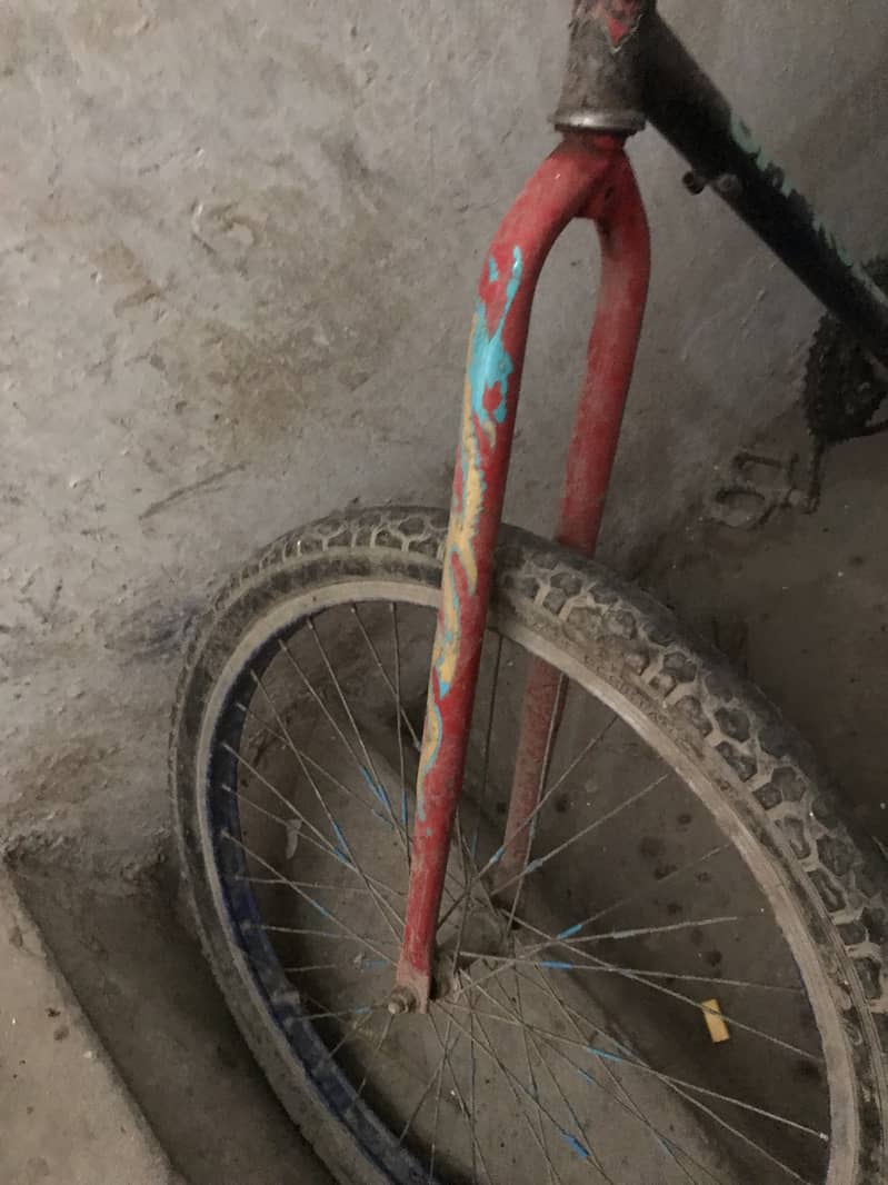 Cycle 5