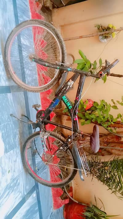 bicycle