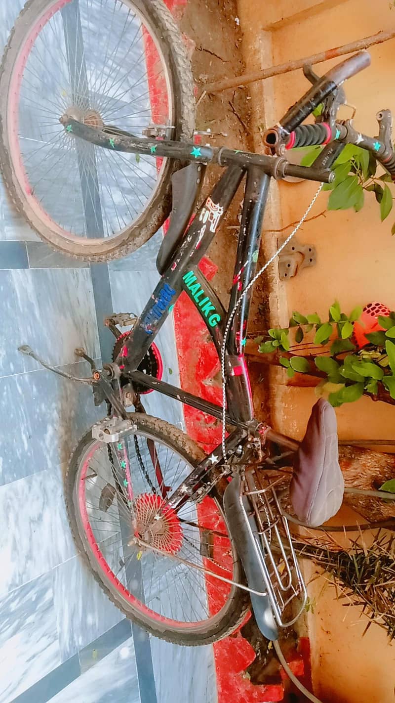 bicycle 4