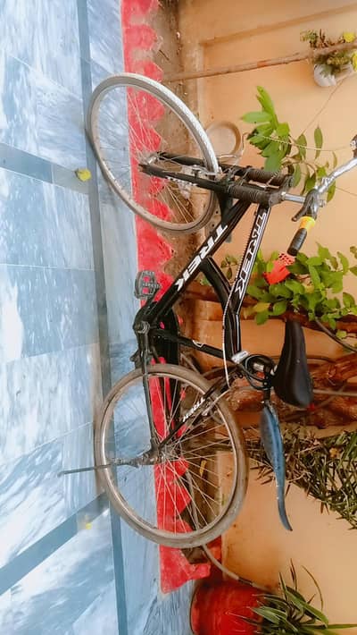 speed sohrab bicycle