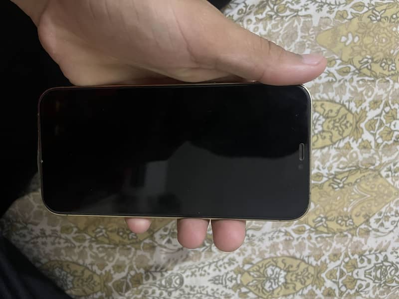 Apple iPhone 12 Pro 7