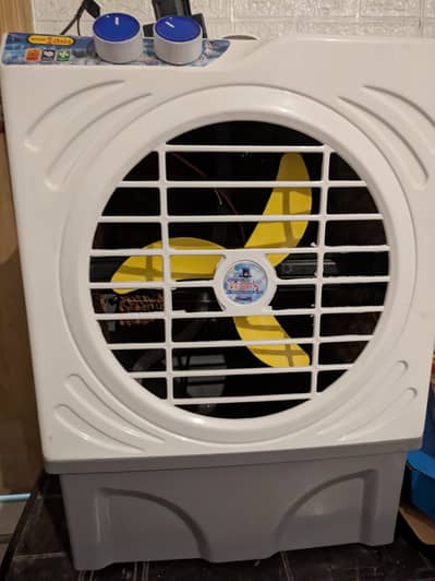 12 Volt AC/DC Cooler