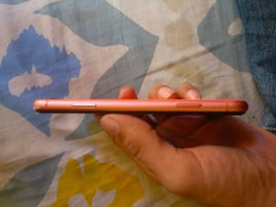 Apple iPhone XR
