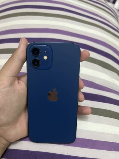iPhone 12 pta approved
