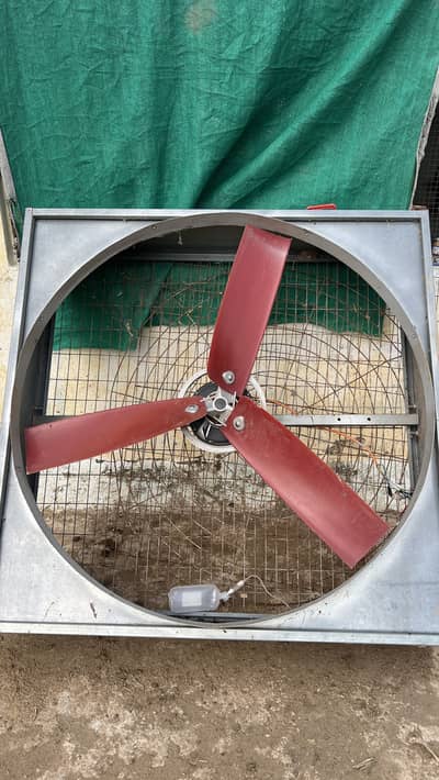 Animals control shed cooling fan