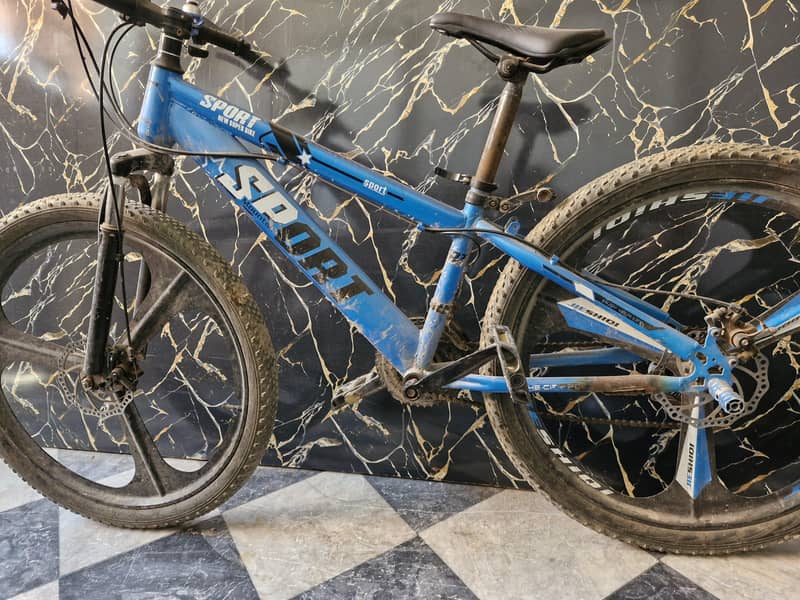 bicycle 2