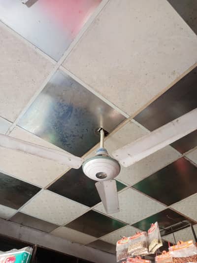 Fan for sale working condition