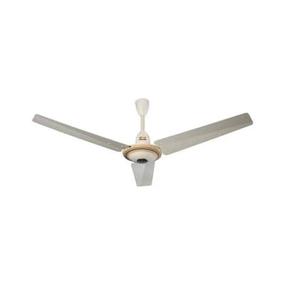 Calling Fan