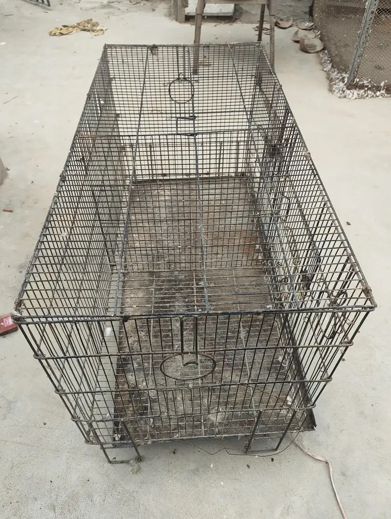 2 partition foldable Bird Cage / Parrot Cage – Excellent Condition — photo 2