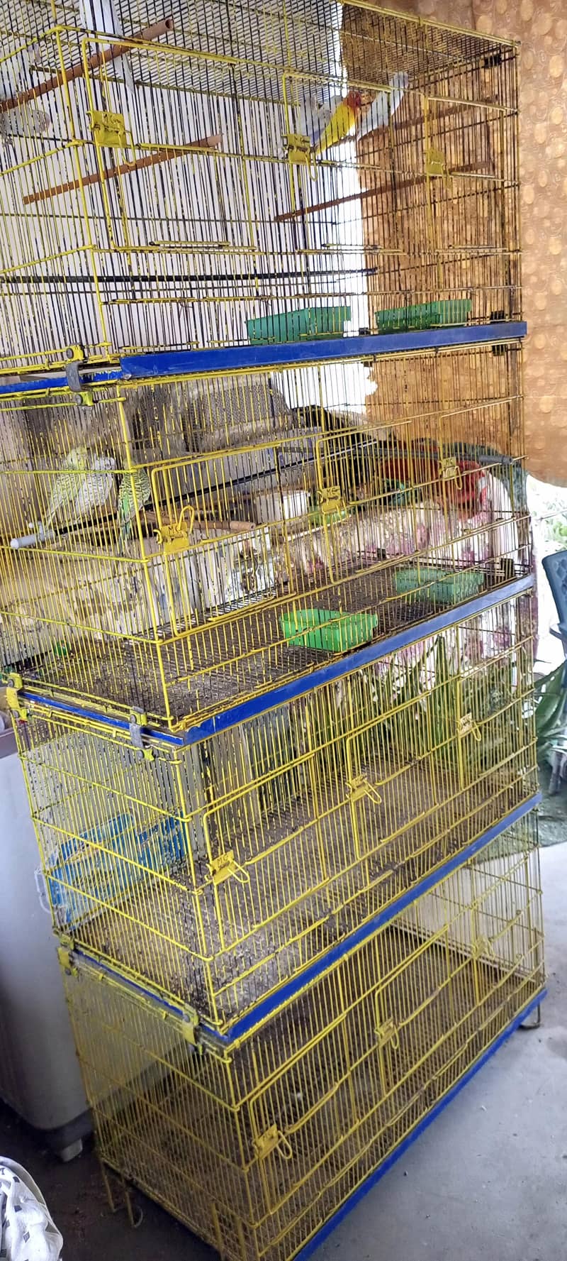 Master Cage 8 potion 2