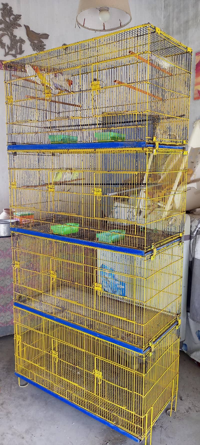 Master Cage 8 potion 4