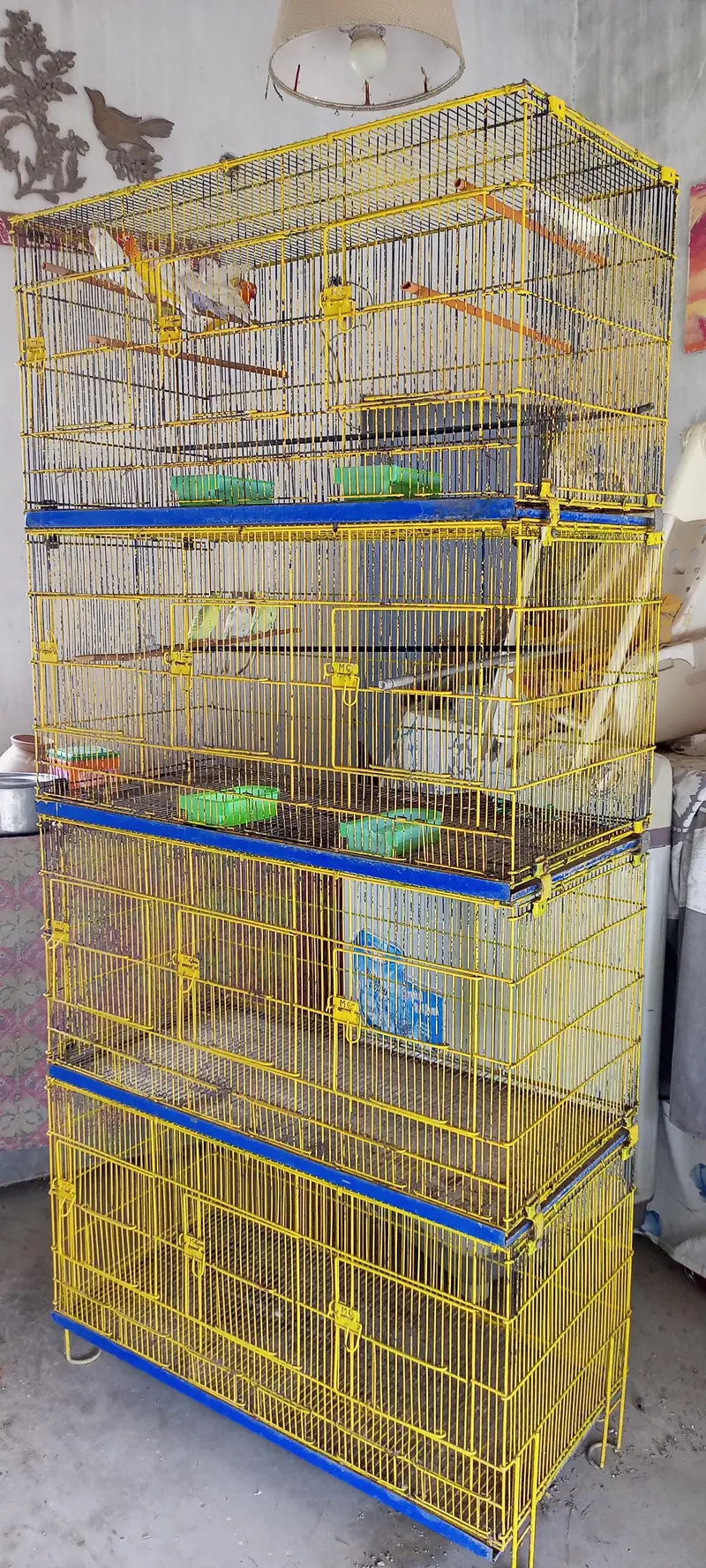 Master Cage 8 potion — photo 5