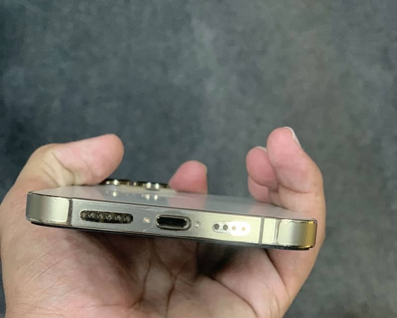 Apple iPhone 13 Pro Max 1