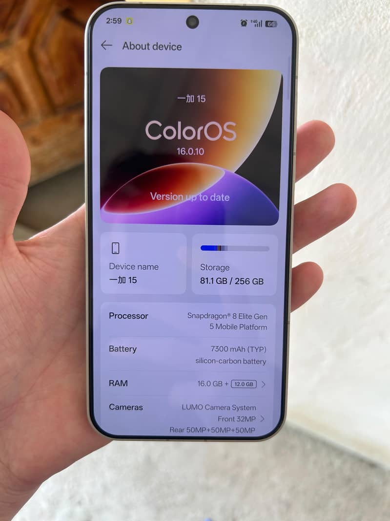 One Plus Other Model 4