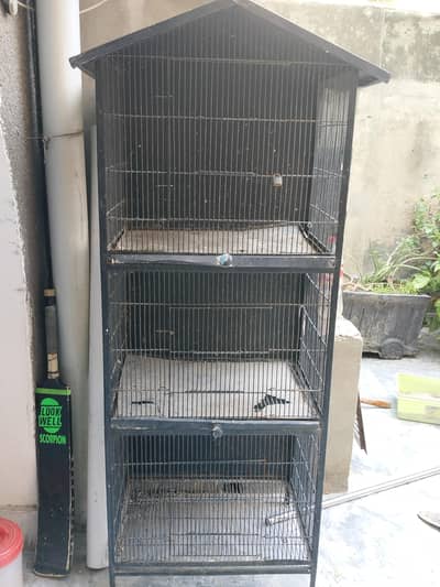 Birds iron cage