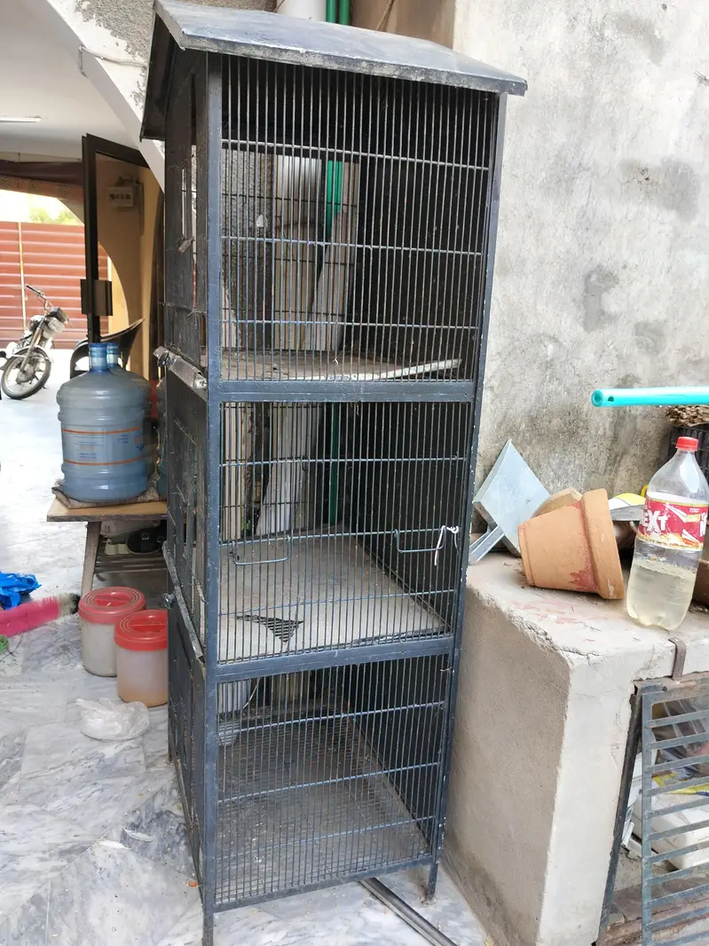 Birds iron cage — photo 2
