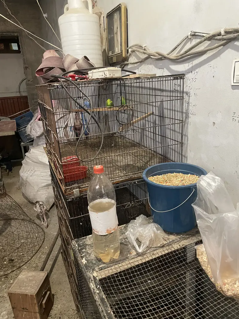3/2 ka aik khana h — photo 2