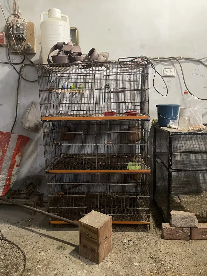 3/2 ka aik khana h — photo 3