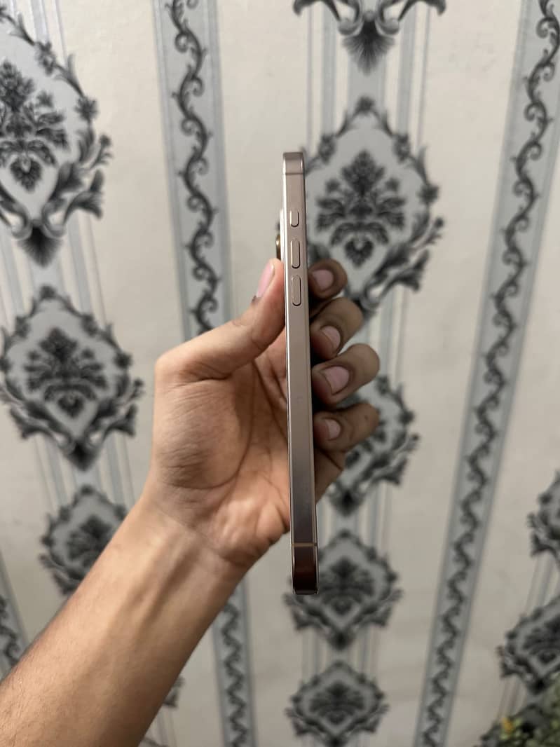 Apple iPhone 16 Pro Max 1