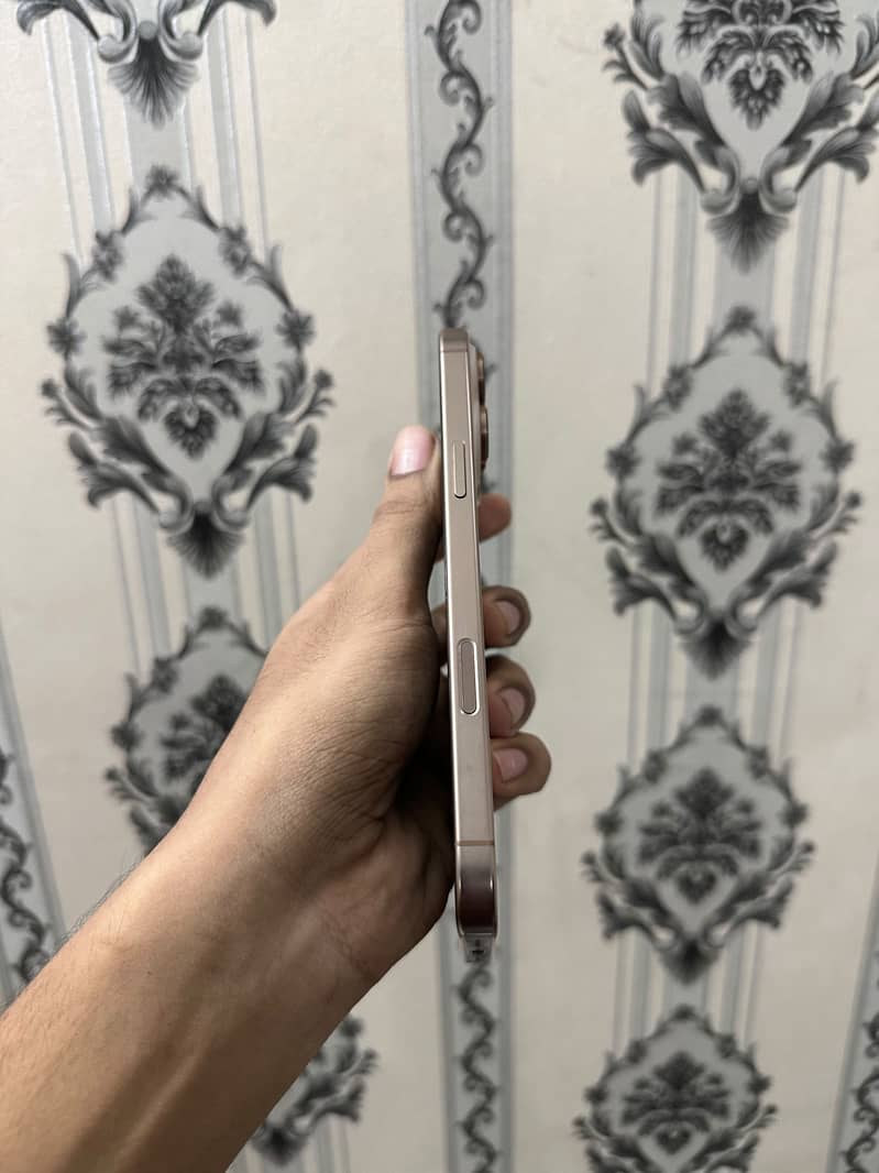 Apple iPhone 16 Pro Max 3