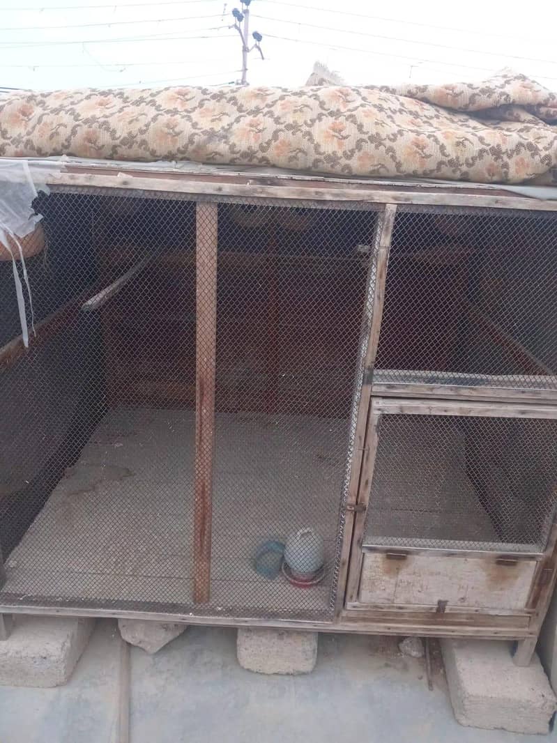 Cages 1