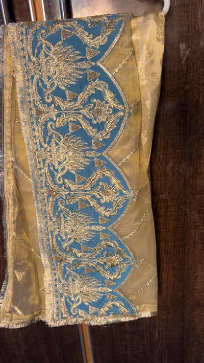 Branded Organza Embroidered Suit