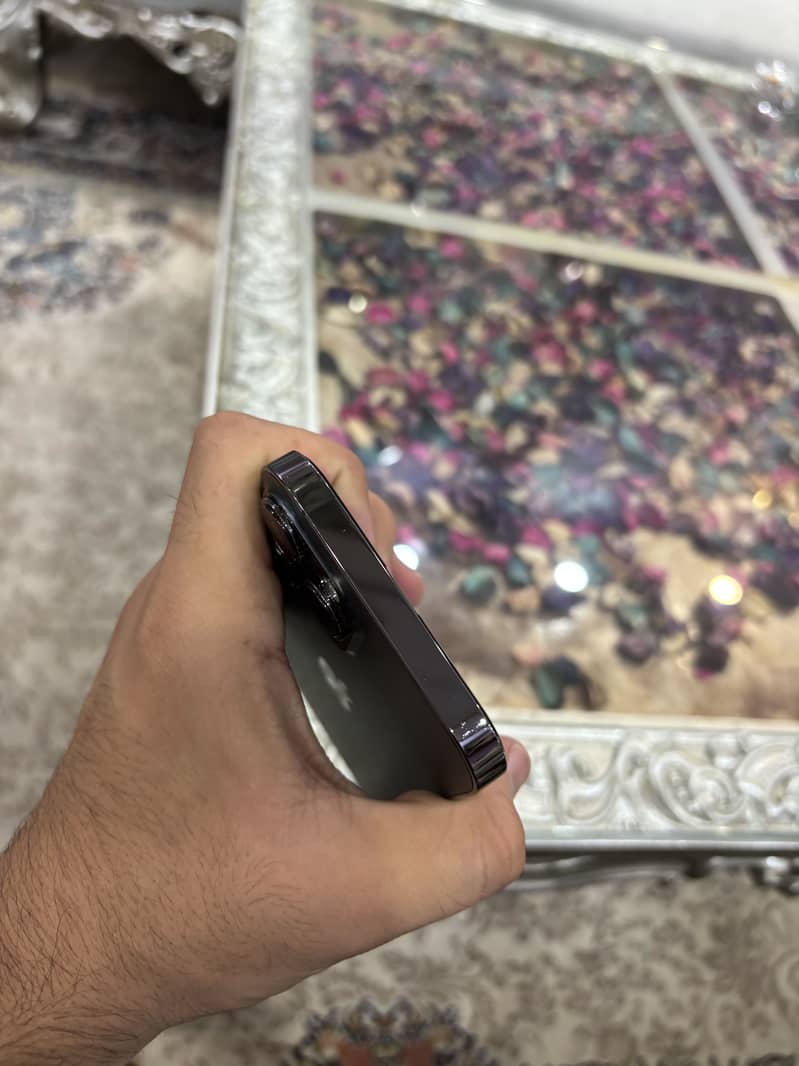 Apple iPhone 13 Pro Max 1
