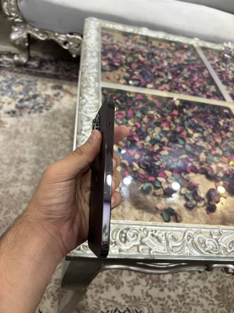 Apple iPhone 13 Pro Max 2