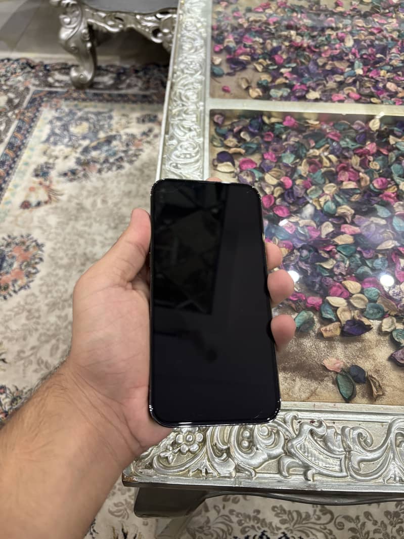 Apple iPhone 13 Pro Max 5