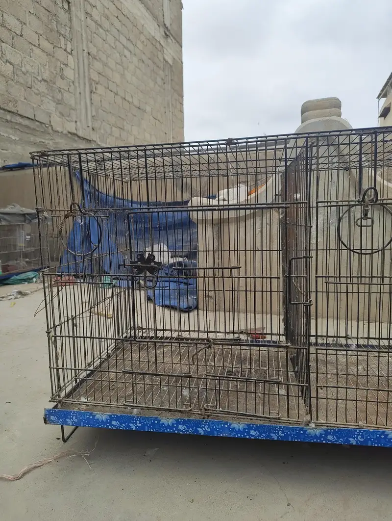 Large Bird Cage / Parrot Cage – Excellent Condition — photo 2