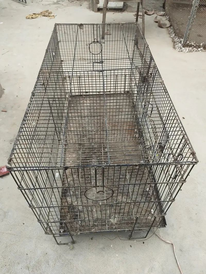Large Bird Cage / Parrot Cage – Excellent Condition — photo 3