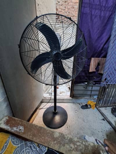 royal pedestal fan