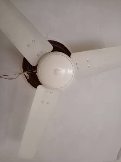 ceiling  fans for sale