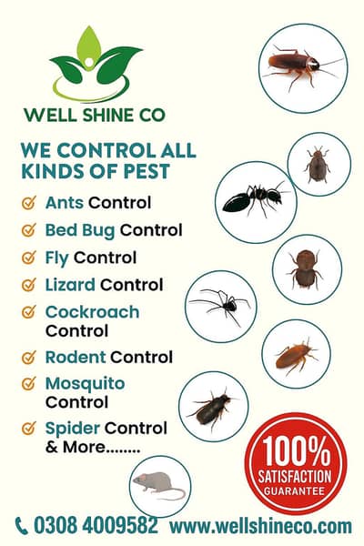 Termite & Pest control services (well shine co)