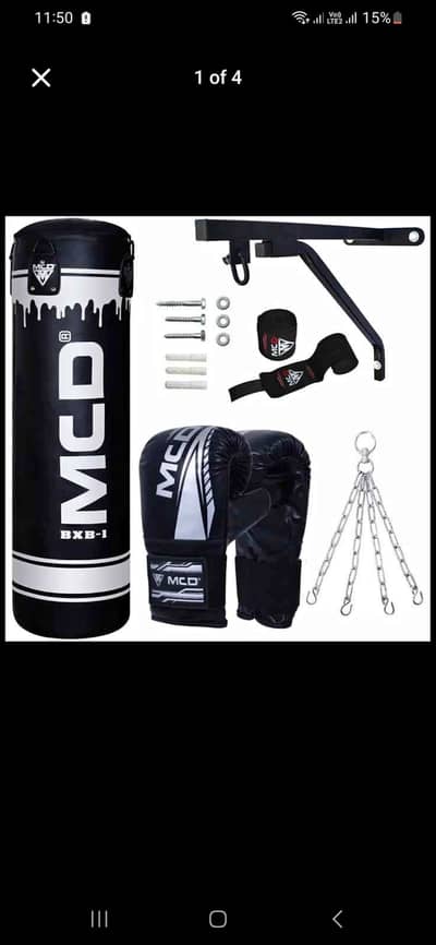 Punching Bag with gloves and equipment