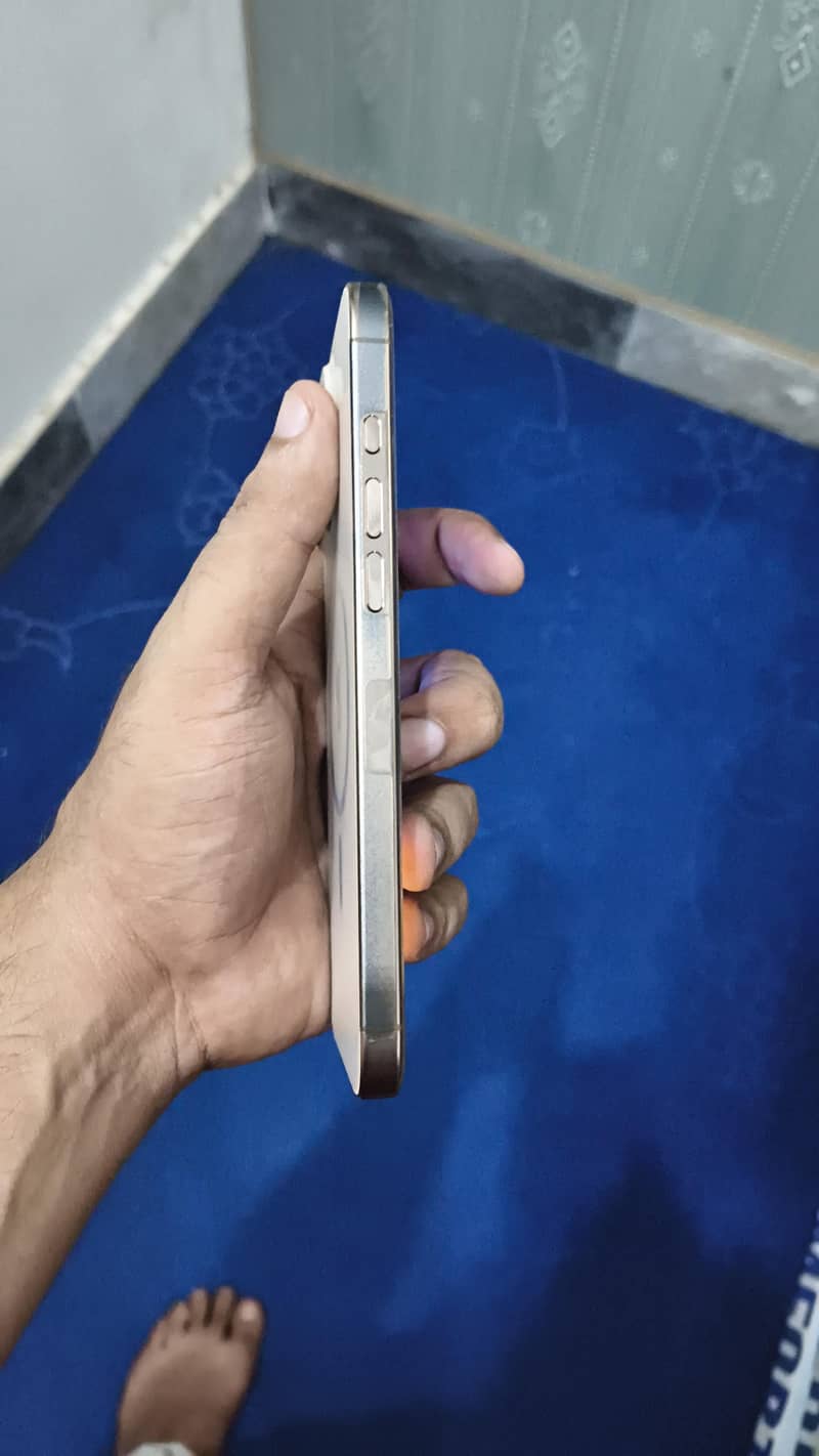 Apple iPhone 16 Pro Max 1