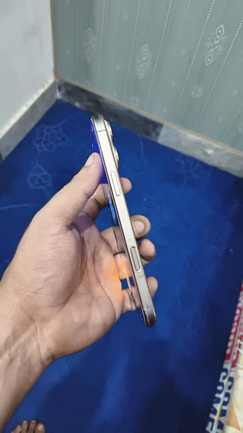 Apple iPhone 16 Pro Max 2