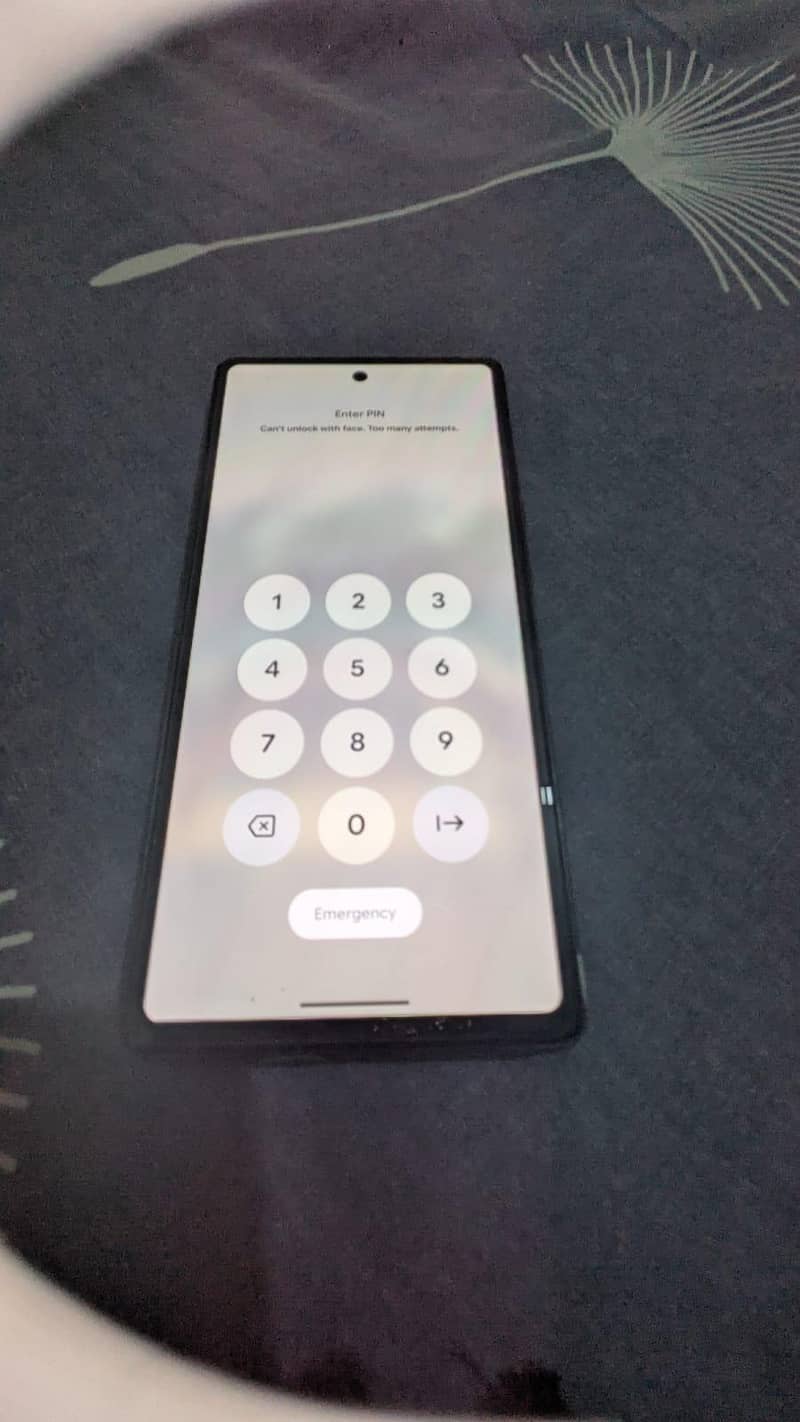 Google Pixel 7 13