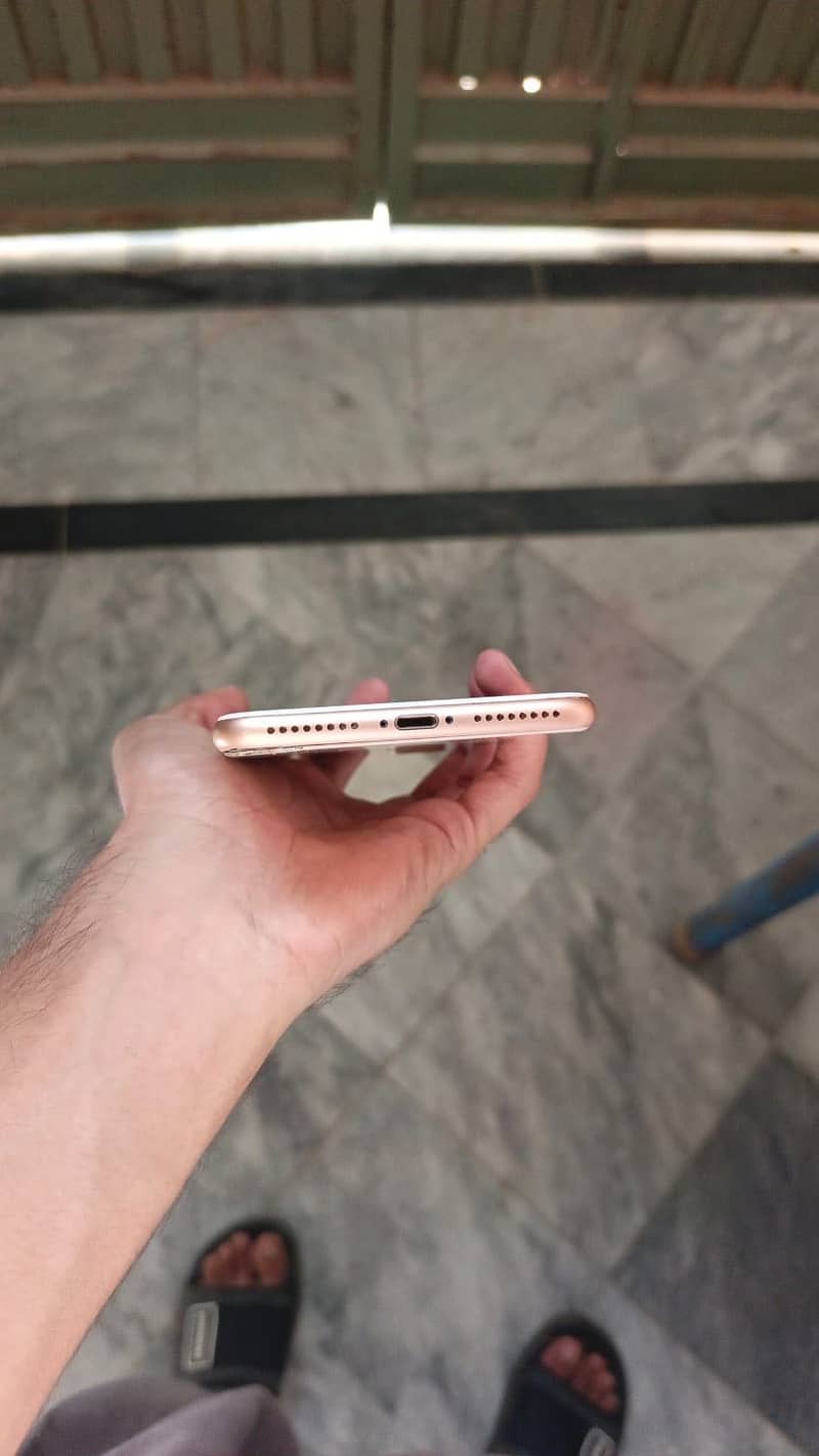Apple iPhone 8 Plus 3