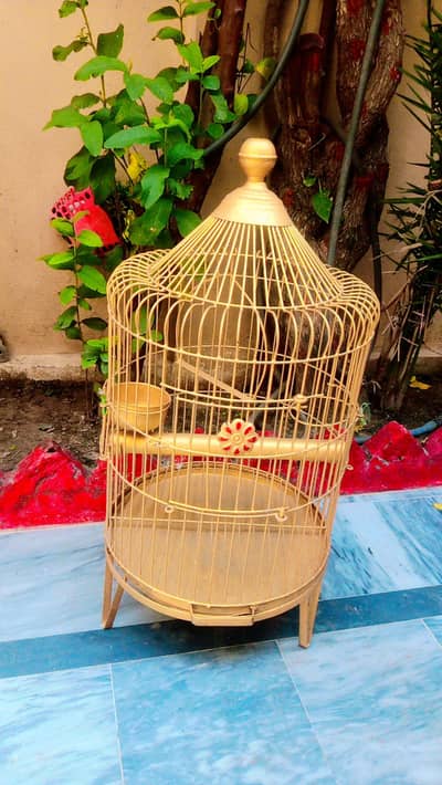 cages for cute birds