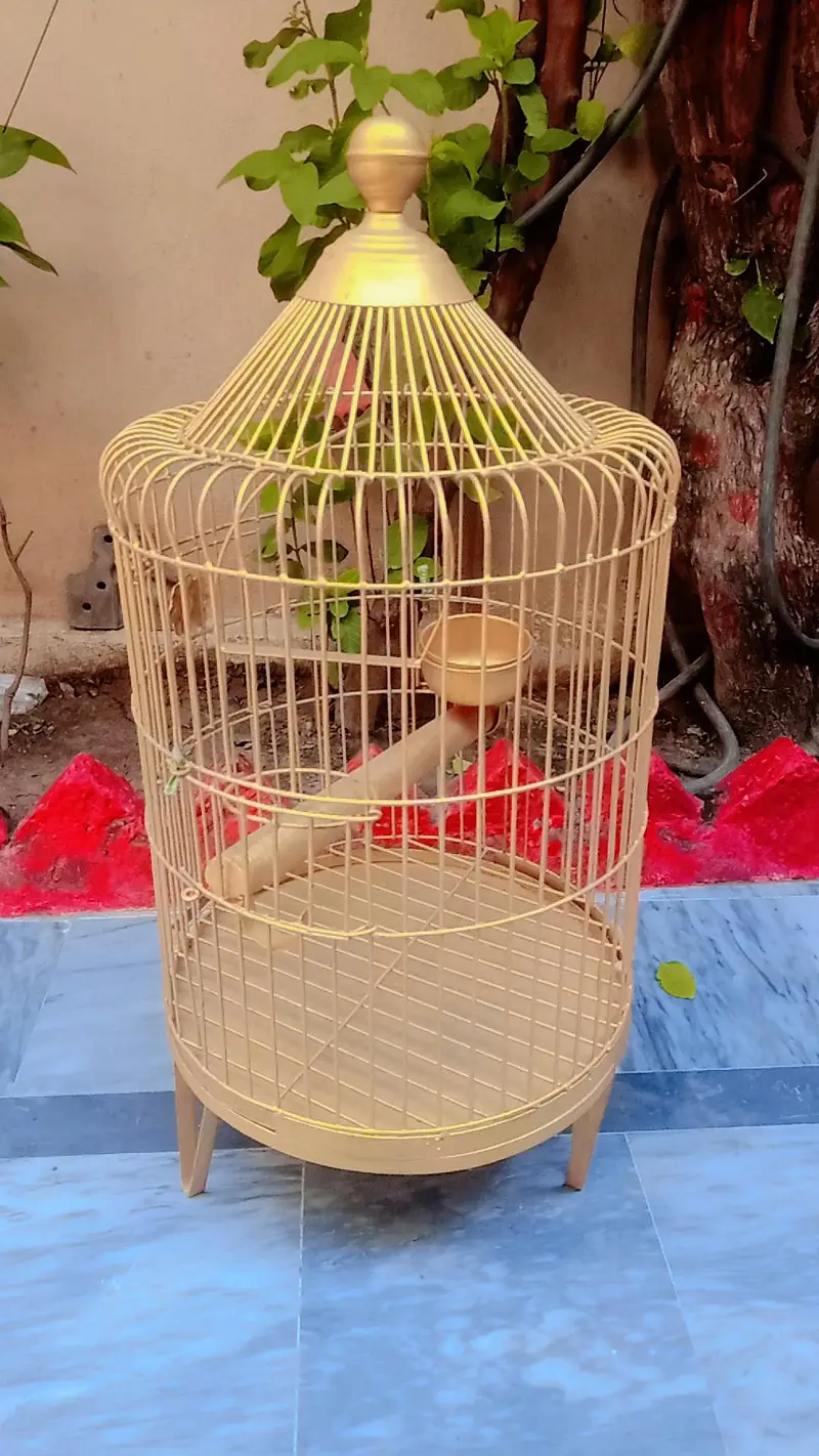 cages for cute birds — photo 2