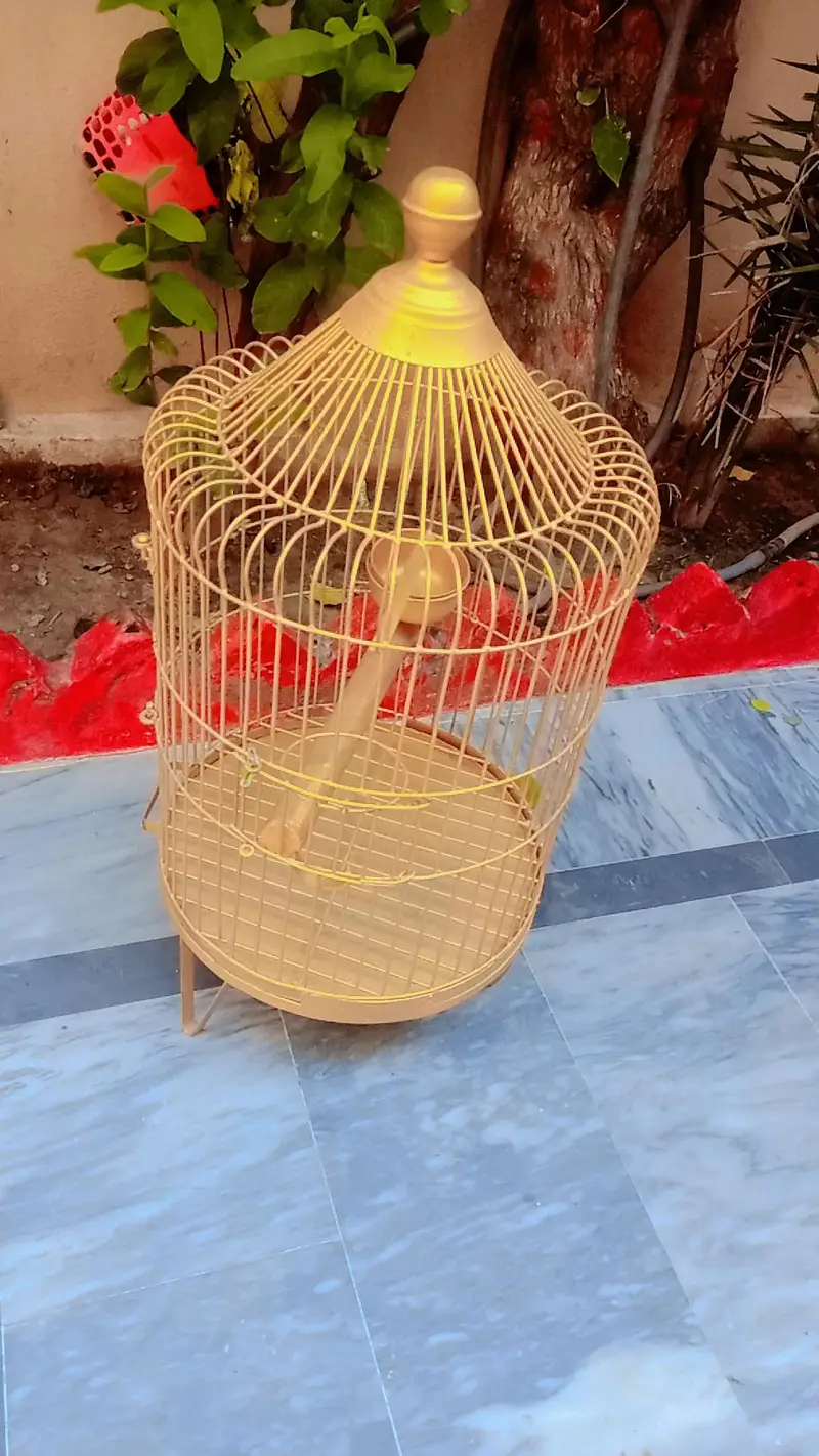 cages for cute birds — photo 3