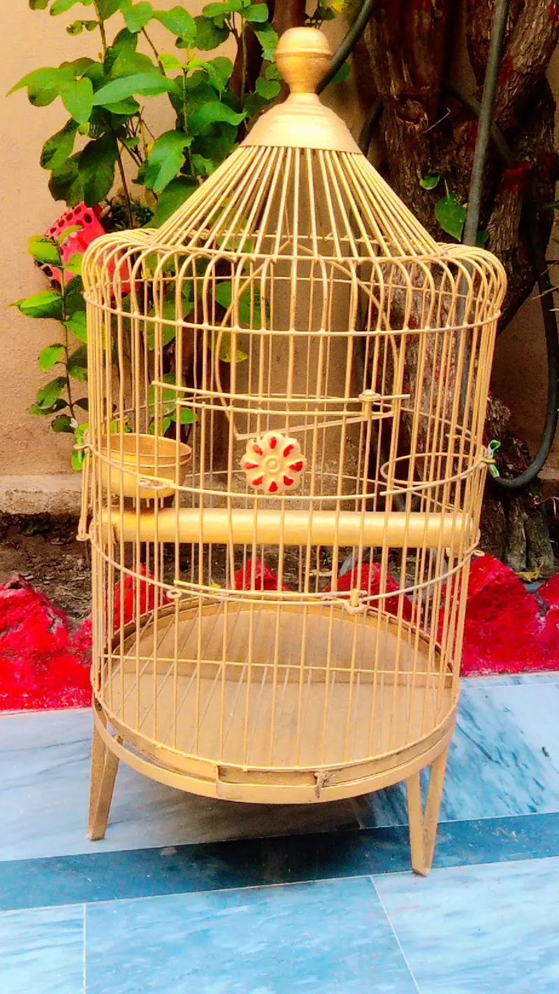 cages for cute birds — photo 4