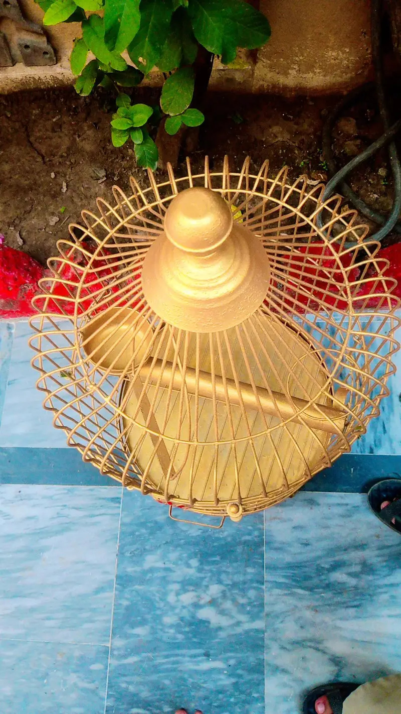 cages for cute birds — photo 5